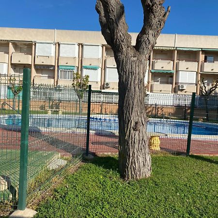 Apartamento Mil Palmeras بيلار ذي لا أوراذاذا المظهر الخارجي الصورة