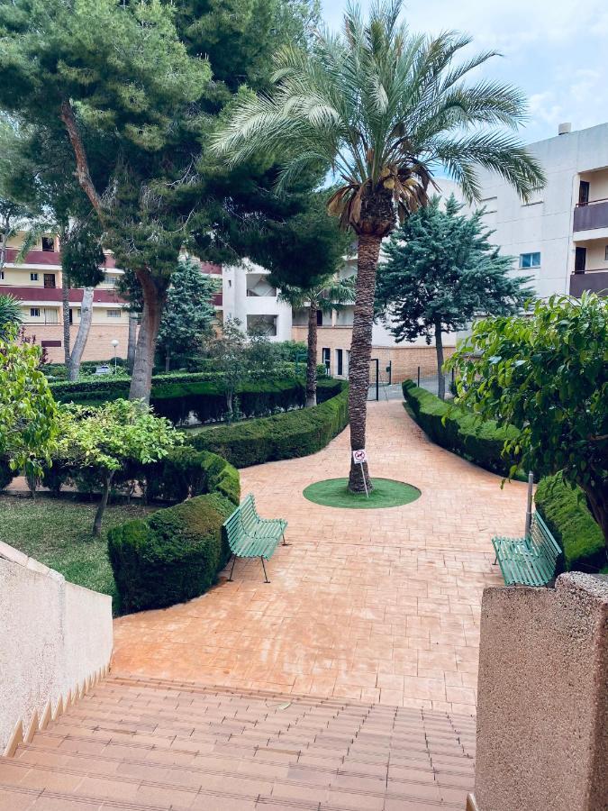 Apartamento Mil Palmeras بيلار ذي لا أوراذاذا المظهر الخارجي الصورة